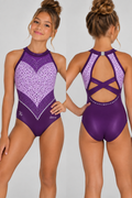 THE ICON LEOTARD